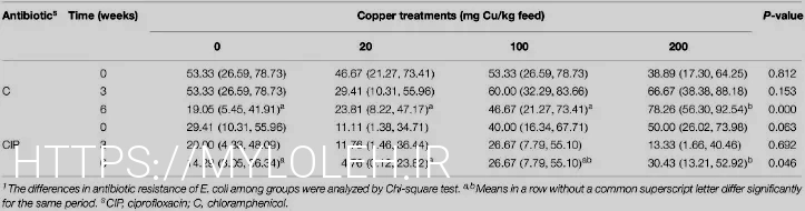 What do animals eatanimal diets