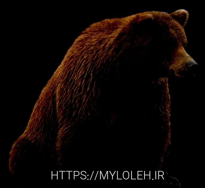 What do animals eatanimal diets