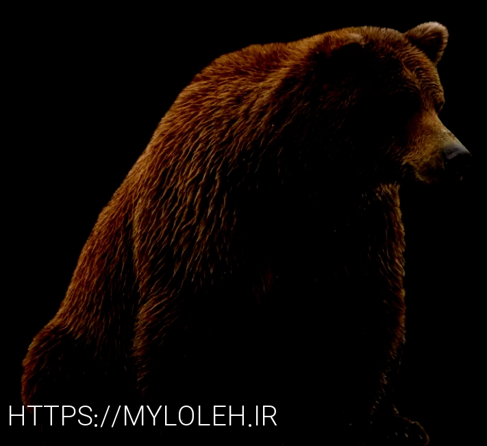 What do animals eatanimal diets